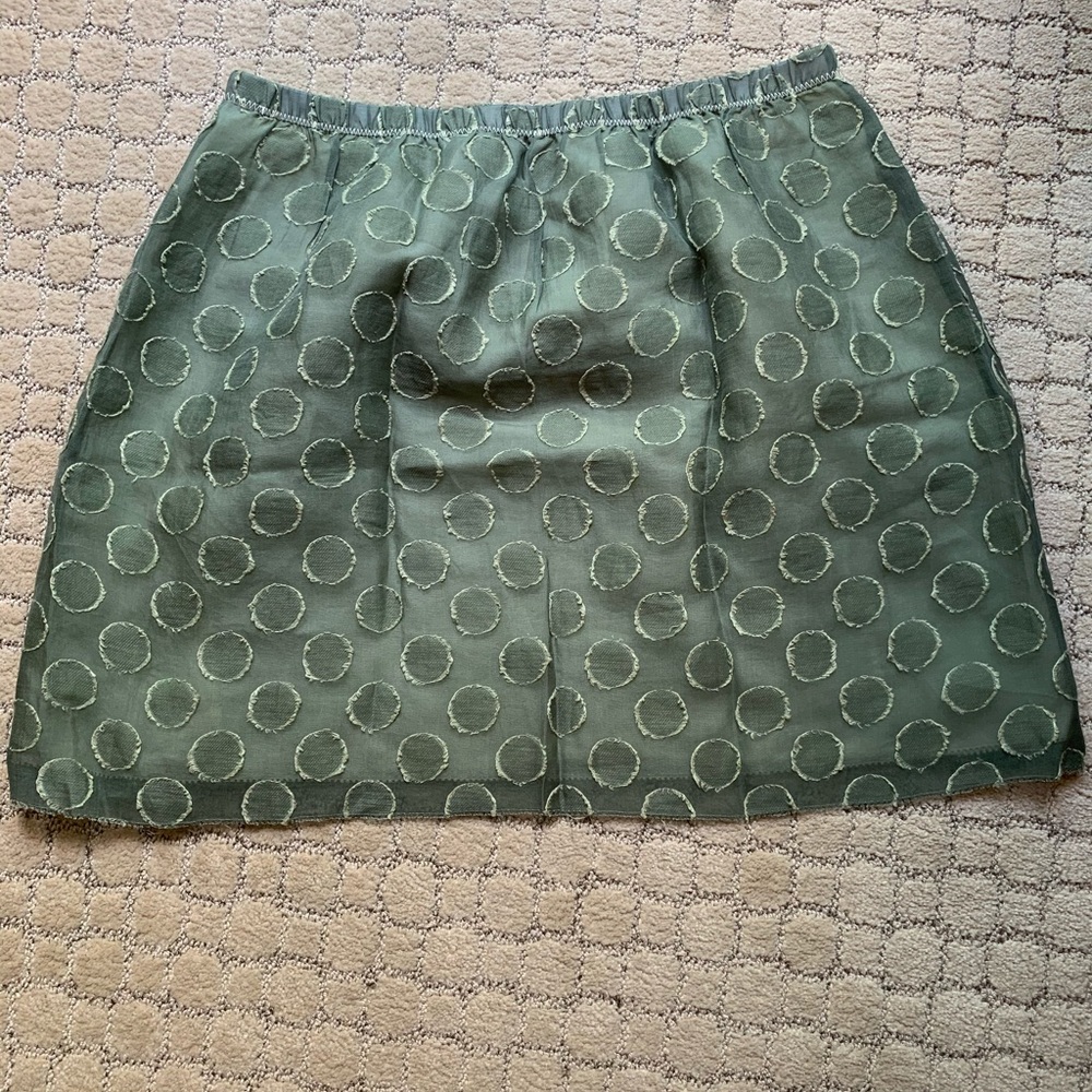 J. Crew Skirt